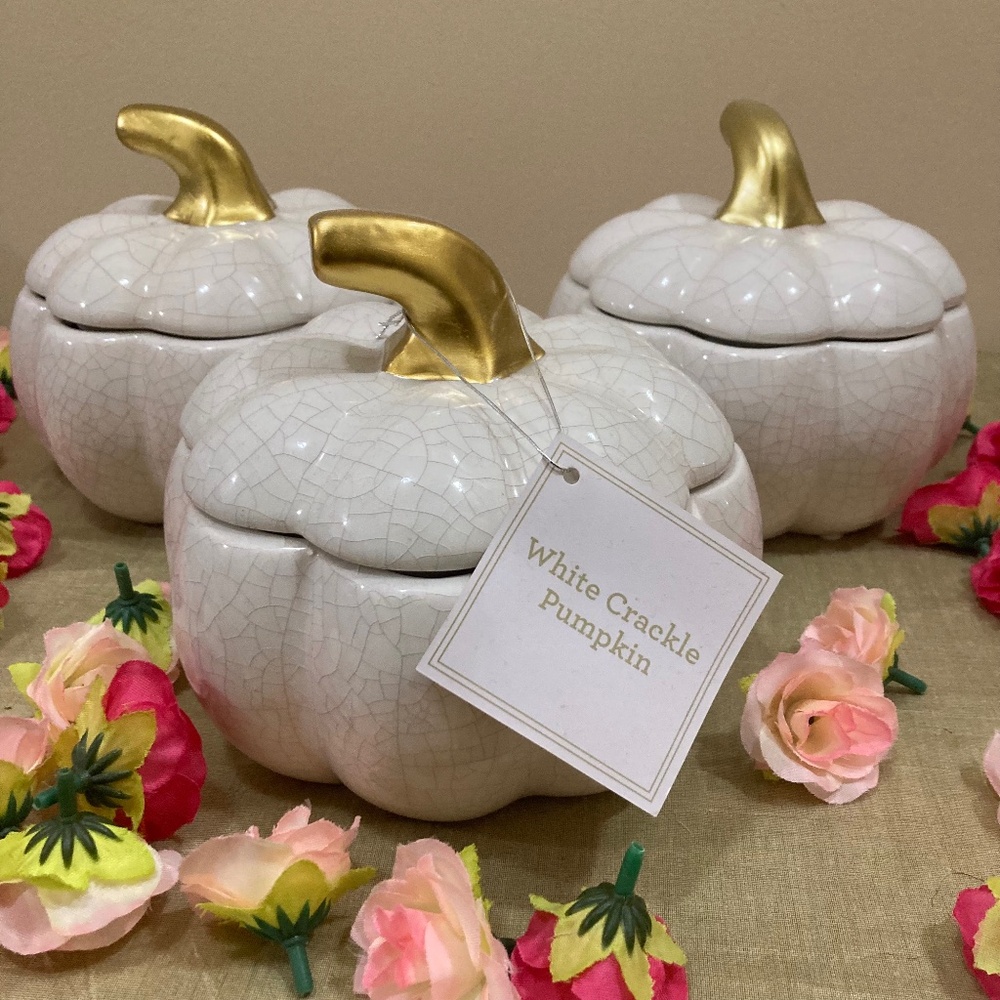 White Crackle Ceramic Pumpkins, set of 3!